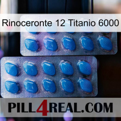 Rhino 12 Titanium 6000 viagra2